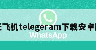 纸飞机telegeram下载安卓版